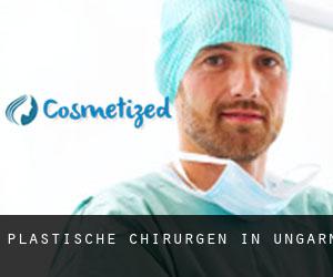 Plastische Chirurgen in Ungarn Plastische Chirurgen in Ungarn