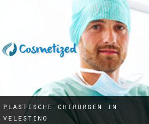 Plastische Chirurgen in Velestíno