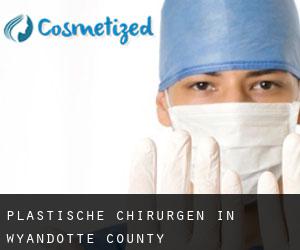Plastische Chirurgen in Wyandotte County