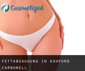 Fettabsaugung in Ashford Carbonell