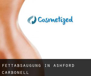 Fettabsaugung in Ashford Carbonell