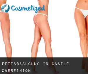 Fettabsaugung in Castle Caereinion