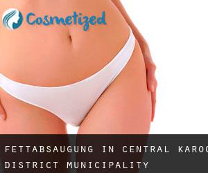 Fettabsaugung in Central Karoo District Municipality