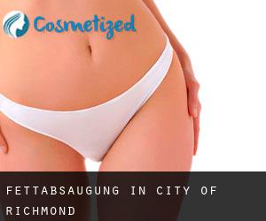 Fettabsaugung in City of Richmond