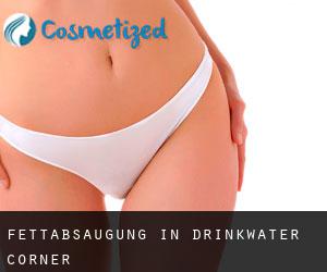 Fettabsaugung in Drinkwater Corner