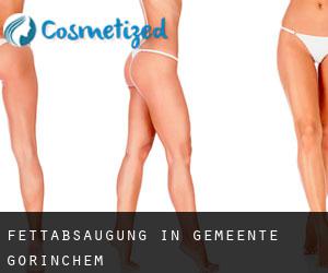 Fettabsaugung in Gemeente Gorinchem