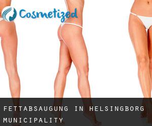 Fettabsaugung in Helsingborg Municipality