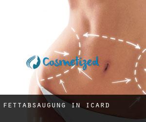 Fettabsaugung in Icard