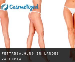 Fettabsaugung in Landes Valencia