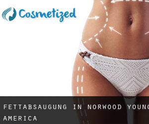 Fettabsaugung in Norwood Young America