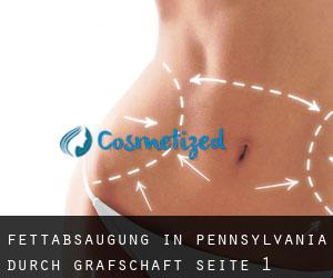 Fettabsaugung in Pennsylvania durch Grafschaft - Seite 1
