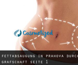 Fettabsaugung in Prahova durch Grafschaft - Seite 1