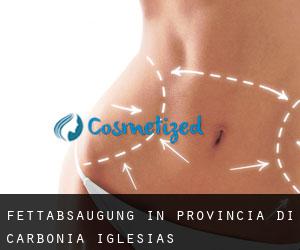 Fettabsaugung in Provincia di Carbonia-Iglesias