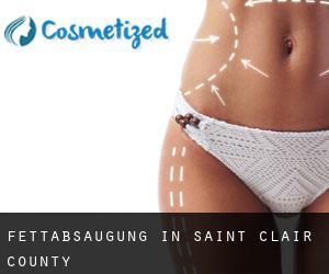 Fettabsaugung in Saint Clair County