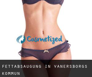 Fettabsaugung in Vänersborgs Kommun