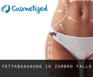 Fettabsaugung in Zumbro Falls