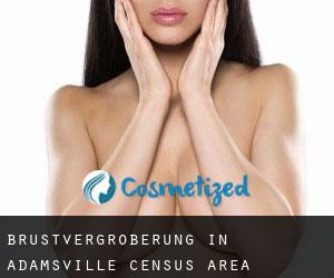 Brustvergrößerung in Adamsville (census area)