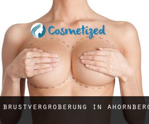 Brustvergrößerung in Ahornberg