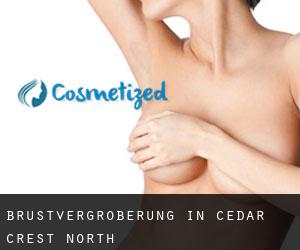 Brustvergrößerung in Cedar Crest North