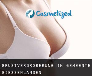 Brustvergrößerung in Gemeente Giessenlanden