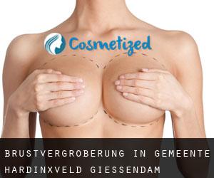 Brustvergrößerung in Gemeente Hardinxveld-Giessendam