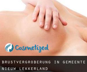 Brustvergrößerung in Gemeente Nieuw-Lekkerland