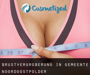 Brustvergrößerung in Gemeente Noordoostpolder Brustvergrößerung in Gemeente Noordoostpolder