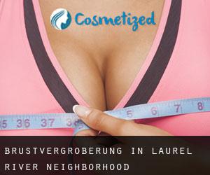 Brustvergrößerung in Laurel River Neighborhood