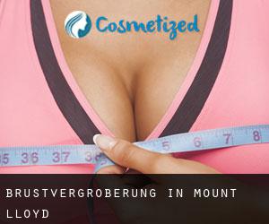 Brustvergrößerung in Mount Lloyd