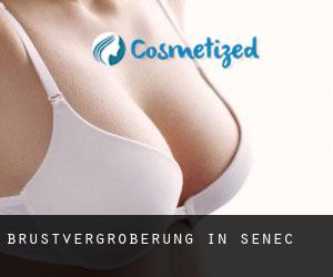 Brustvergrößerung in Senec Brustvergrößerung in Senec