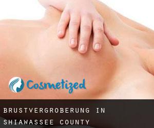 Brustvergrößerung in Shiawassee County