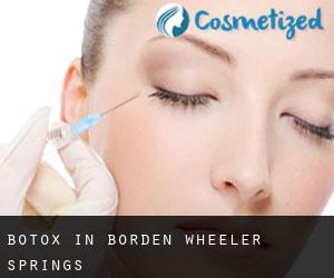 Botox in Borden Wheeler Springs