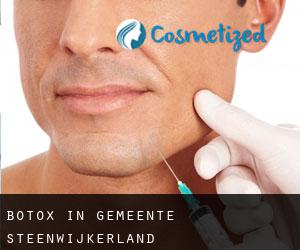Botox in Gemeente Steenwijkerland