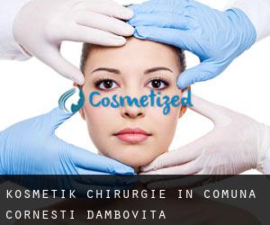 Kosmetik Chirurgie in Comuna Corneşti (Dâmboviţa)