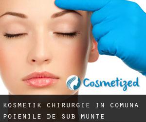 Kosmetik Chirurgie in Comuna Poienile de sub Munte
