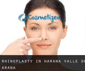 Rhinoplasty in Harana / Valle de Arana Rhinoplasty in Harana / Valle de Arana