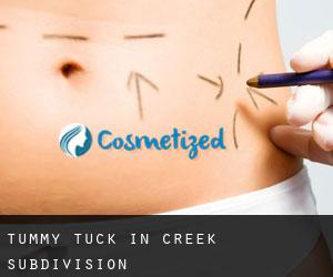 Tummy Tuck in Creek Subdivision