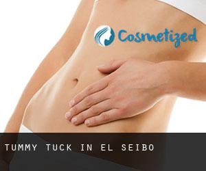Tummy Tuck in El Seíbo