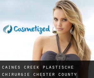 Caines Creek plastische chirurgie (Chester County, Pennsylvania)