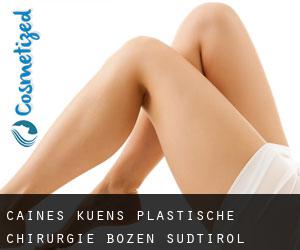 Caines - Kuens plastische chirurgie (Bozen, Südtirol)