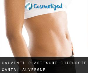Calvinet plastische chirurgie (Cantal, Auvergne)
