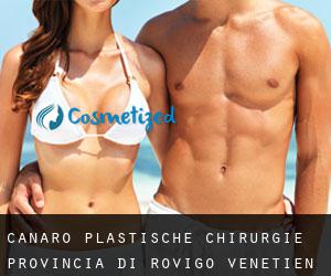 Canaro plastische chirurgie (Provincia di Rovigo, Venetien)