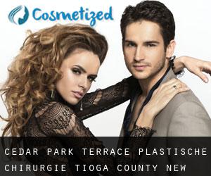 Cedar Park Terrace plastische chirurgie (Tioga County, New York)