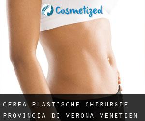 Cerea plastische chirurgie (Provincia di Verona, Venetien)
