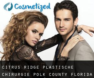 Citrus Ridge plastische chirurgie (Polk County, Florida)
