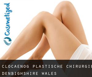 Clocaenog plastische chirurgie (Denbighshire, Wales)