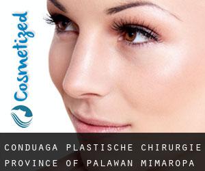 Conduaga plastische chirurgie (Province of Palawan, Mimaropa)