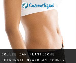 Coulee Dam plastische chirurgie (Okanogan County, Washington)