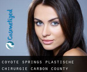 Coyote Springs plastische chirurgie (Carbon County, Wyoming)