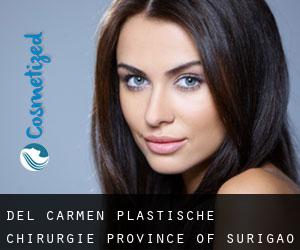 Del Carmen plastische chirurgie (Province of Surigao del Norte, Caraga)
